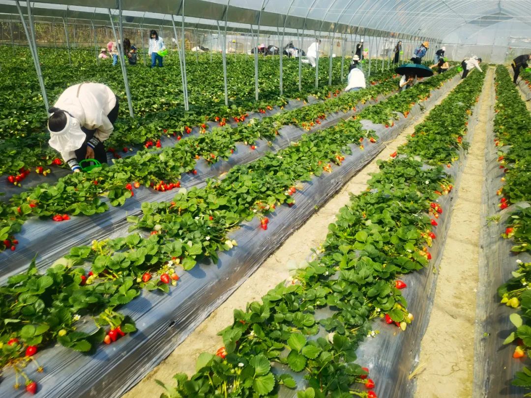 1675324302131542.jpg 640 (3).jpg