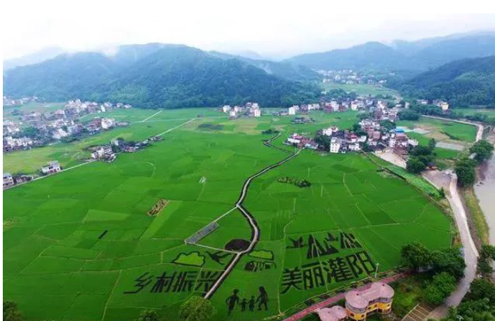 1689058839969317.png image.png